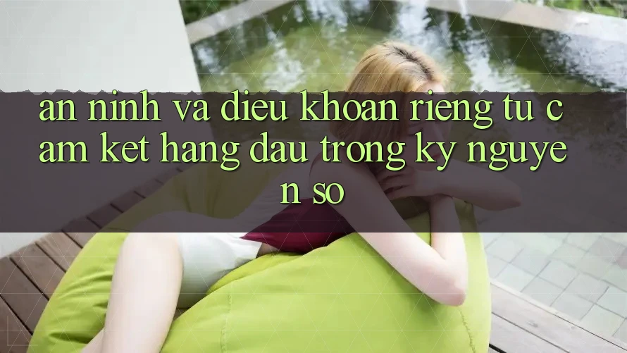 An ninh Và Điều khoản riêng tư: Cam Kết Hàng Đầu Trong Kỷ Nguyên Số