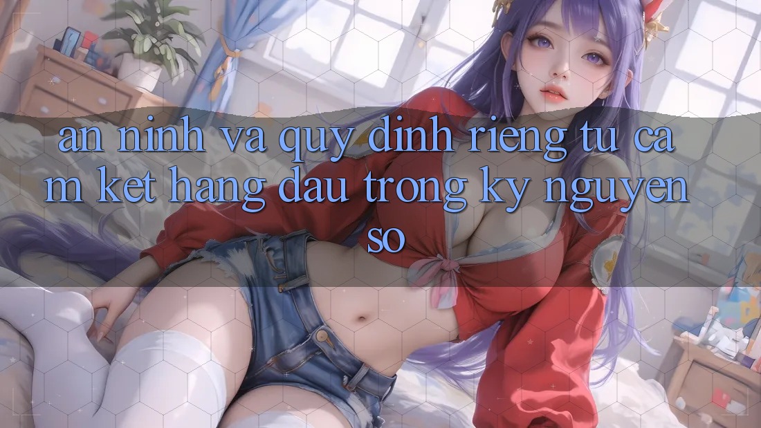 An ninh Và Quy định riêng tư: Cam Kết Hàng Đầu Trong Kỷ Nguyên Số