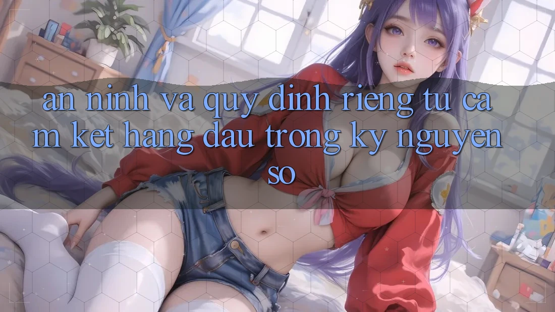 An ninh Và Quy định riêng tư: Cam Kết Hàng Đầu Trong Kỷ Nguyên Số