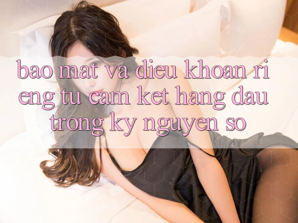 Bảo Mật Và Điều khoản riêng tư: Cam Kết Hàng Đầu Trong Kỷ Nguyên Số Bảo Mật Và Điều khoản riêng tư: Cam Kết Hàng Đầu Trong Kỷ Nguyên Số