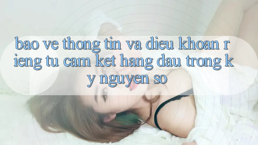 Bảo vệ thông tin Và Điều khoản riêng tư: Cam Kết Hàng Đầu Trong Kỷ Nguyên Số