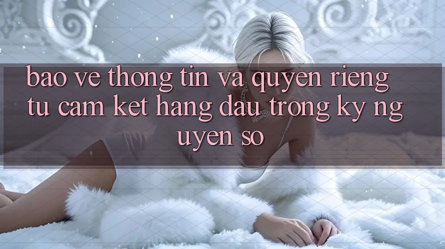 Bảo vệ thông tin Và Quyền Riêng Tư: Cam Kết Hàng Đầu Trong Kỷ Nguyên Số Bảo vệ thông tin Và Quyền Riêng Tư: Cam Kết Hàng Đầu Trong Kỷ Nguyên Số