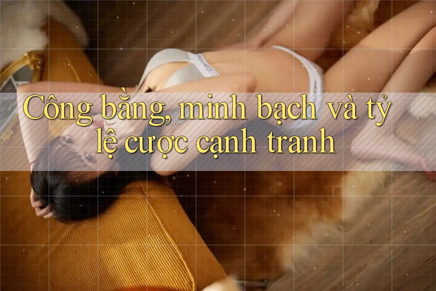 Công bằng, minh bạch và tỷ lệ cược cạnh tranh